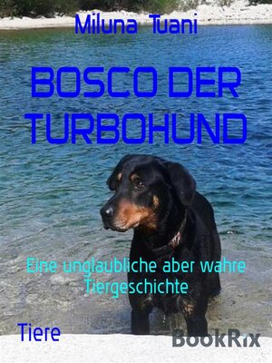 cover image of Bosco, der Turbohund
